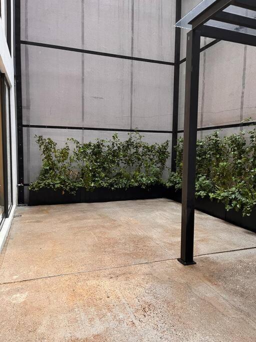 Roma With Private Terrace In Cdmx Appartamento *